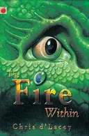 Book cover of The fire within