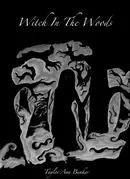 Book cover of Witch in the Woods