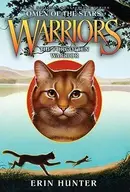 Book cover of The Forgotten Warrior