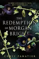 Book cover of The Redemption of Morgan Bright