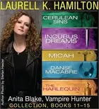 Book cover of Laurell K. Hamilton's Anita Blake, Vampire Hunter collection 11-15