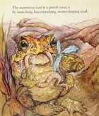 Book cover of Toad