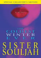 Book cover of The Coldest Winter Ever