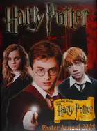 Book cover of Harry Potter poster annual 2008