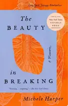 Book cover of Beauty in Breaking