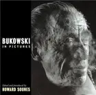 Book cover of Bukowski in pictures