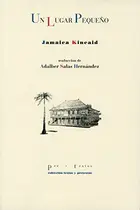 Book cover of Un lugar pequeño