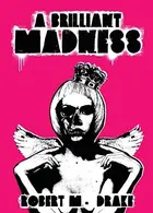 Book cover of A Brilliant Madness
