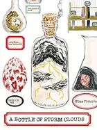 Book cover of A Bottle of Storm Clouds