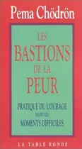 Book cover of Les Bastions de la peur