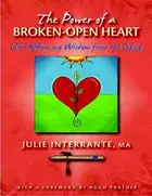 Book cover of The Power of a BrokenOpen Heart