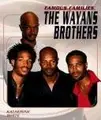 Book cover of The Wayans brothers