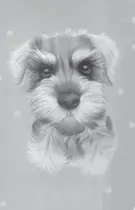 Book cover of Rosie
