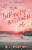 Book cover of The Infinity Between Us