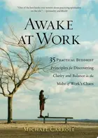 Book cover of Awake at Work
