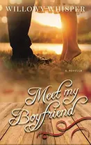 Book cover of Meet My Boyfriend