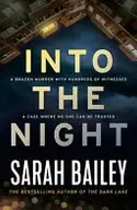 Book cover of Into the Night