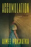 Book cover of Accumulation