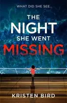 Book cover of Night She Went Missing