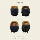 Book cover of Felon
