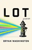 Book cover of Lot