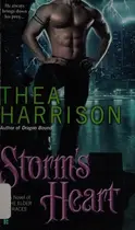 Book cover of Storm's heart
