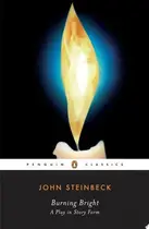 Book cover of Burning Bright A Play in Story Form