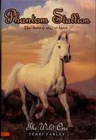 Book cover of The Wild One