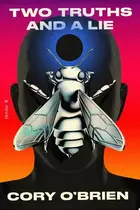Book cover of Two Truths and a Lie
