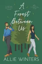 Book cover of A Forest Between Us: A Small Town, Second Chance Romance