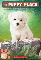 Book cover of Angel