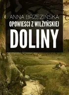 Book cover of Opowieści z Wilżynskiej Doliny