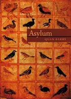 Book cover of Asylum