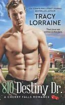 Book cover of 810 Destiny Dr. A High School Friends to Lovers Romance