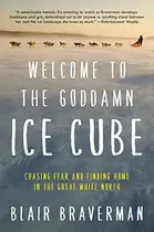 Book cover of Welcome to the goddamn ice cube