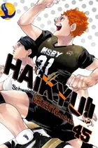 Book cover of Haikyu!! 45: Challengers
