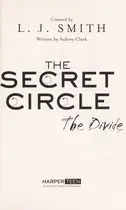 Book cover of The divide