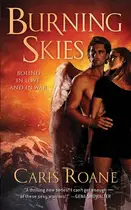 Book cover of Burning Skies
