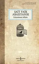 Book cover of Lüzumsuz Adam Sömizli