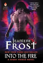 Book cover of Into the fire