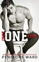 Book cover of Just One Year