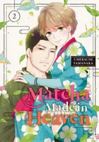 Book cover of Matcha Made in Heaven 2