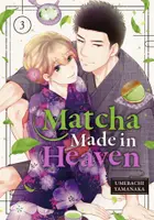 Book cover of Matcha Made in Heaven 3