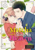 Book cover of Matcha Made in Heaven, Vol. 1