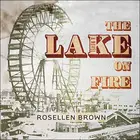 Book cover of The lake on fire