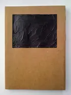 Book cover of Perversity Think Tank