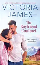Book cover of Boyfriend Contract
