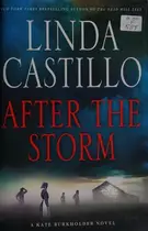 Book cover of After the storm