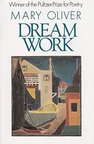 Book cover of Dream Work