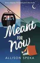 Book cover of Meant for Now
